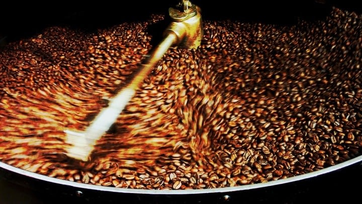 best coffee roaster machine for small business