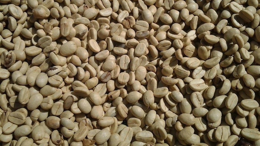 best coffee roasters for small business